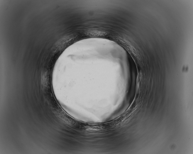 X0000099940359200806201126