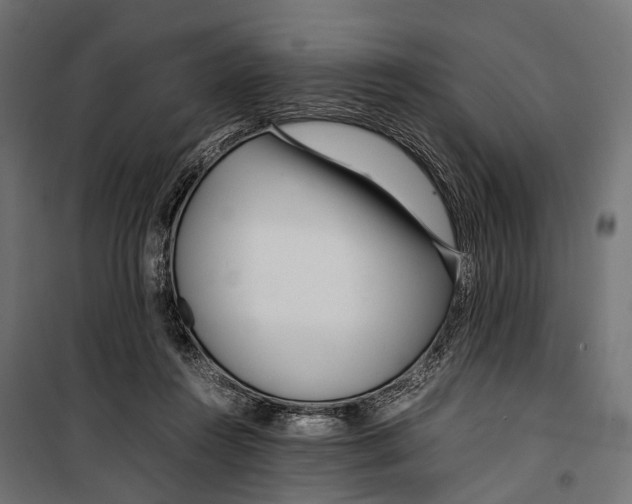 X0000099940360200806201126
