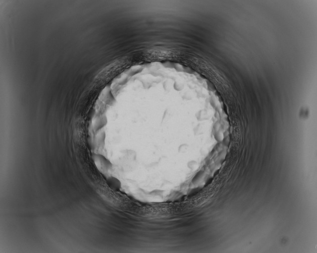 X0000099940361200806201126