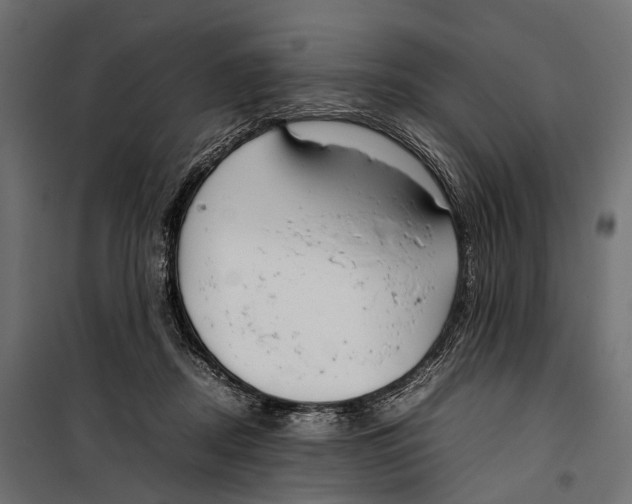 X0000099940362200806201126
