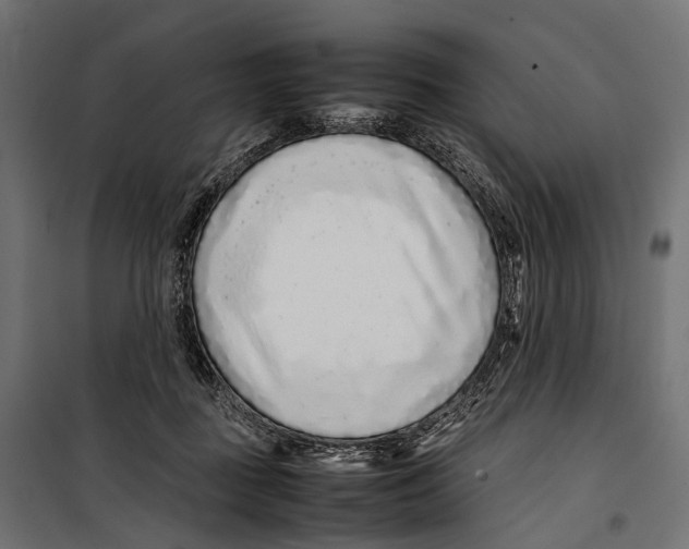 X0000099940363200806201126