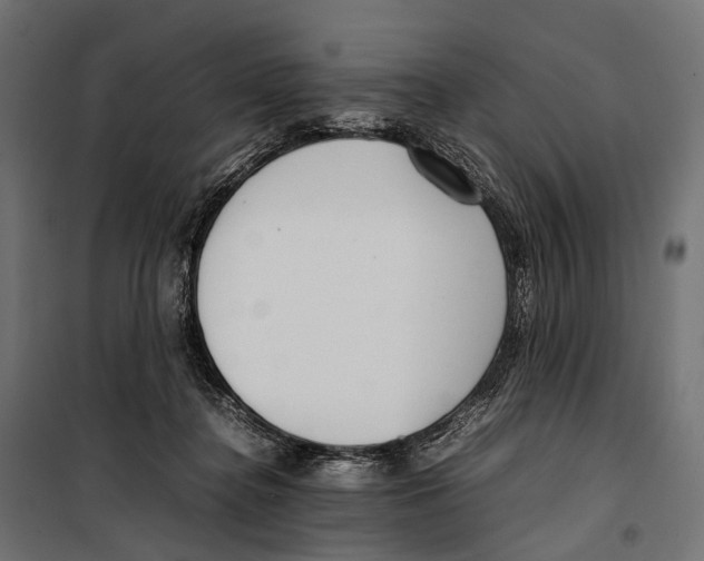X0000099940364200806201126
