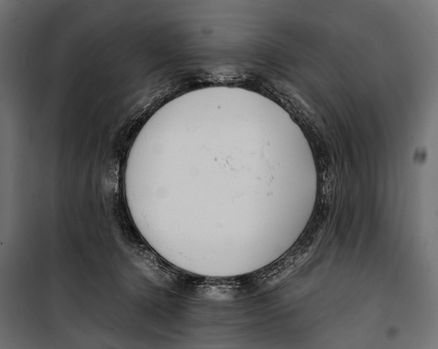 X0000099940368200806201126