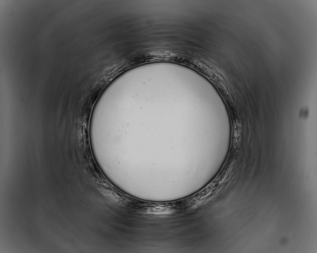 X0000099940369200806201126