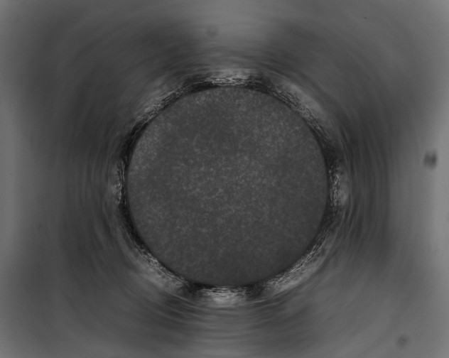 X0000099940370200806201126