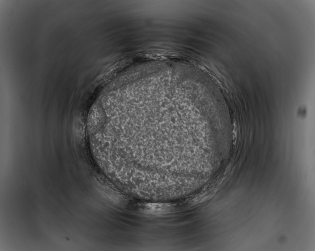 X0000099940371200806201126