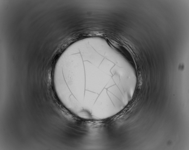 X0000099940373200806201126