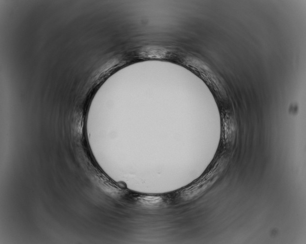 X0000099940374200806201126
