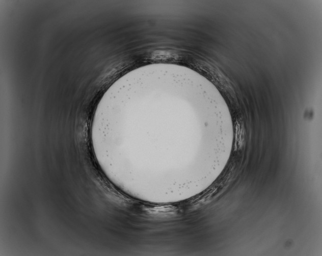 X0000099940375200806201126