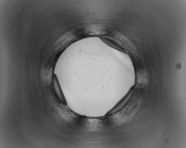X0000099940376200806201126