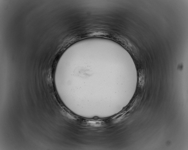 X0000099940377200806201126