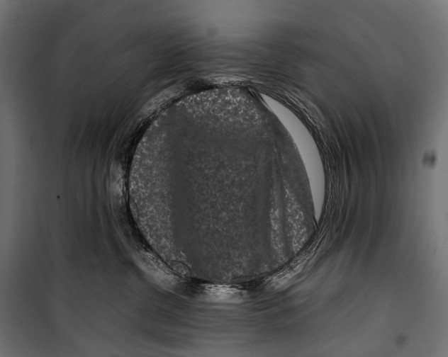 X0000099940380200806201126