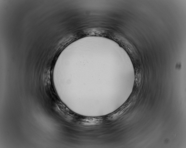 X0000099940381200806201126