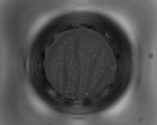 X0000099940382200806201126