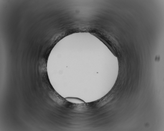 X0000099940384200806201126
