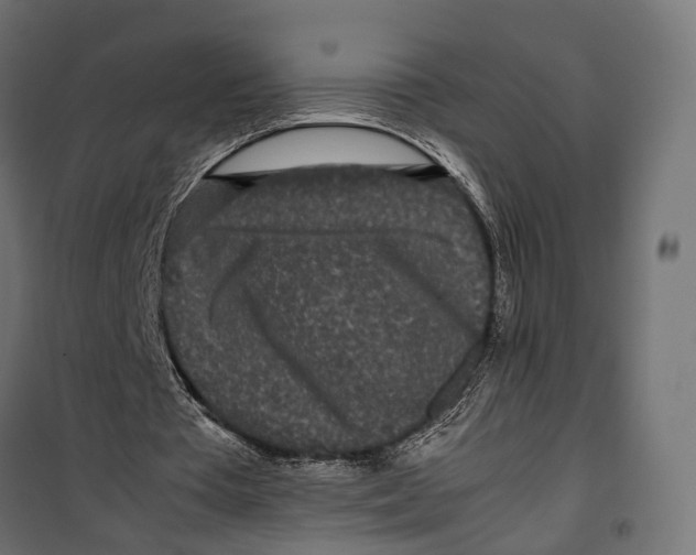 X0000099940385200806201125