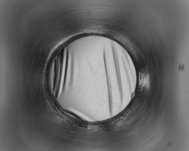 X0000099940388200806201125