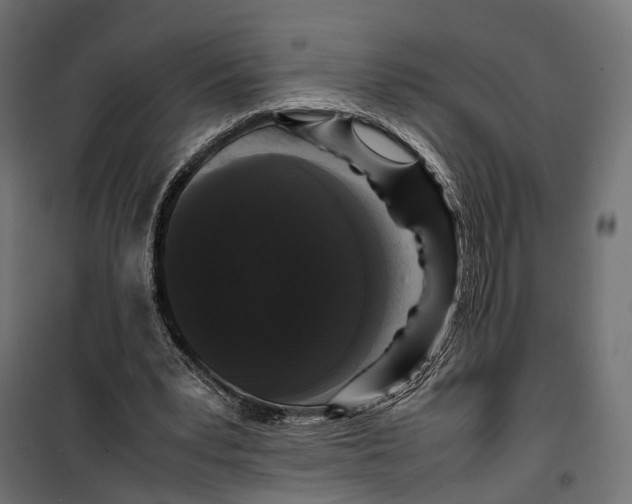 X0000099940391200806201125