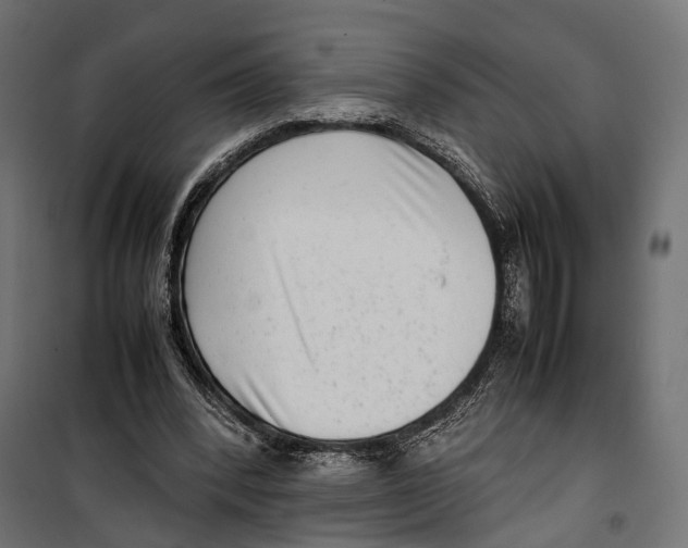 X0000099940392200806201125