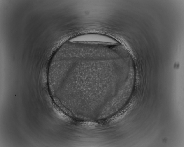 X0000099940393200806201125