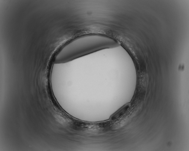 X0000099940395200806201125
