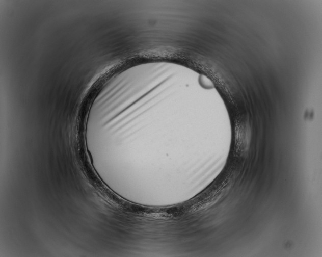 X0000099940396200806201125