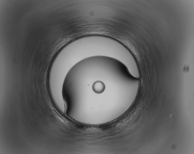 X0000099940397200806201125
