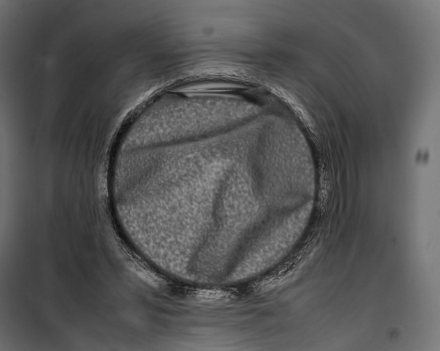 X0000099940399200806201125