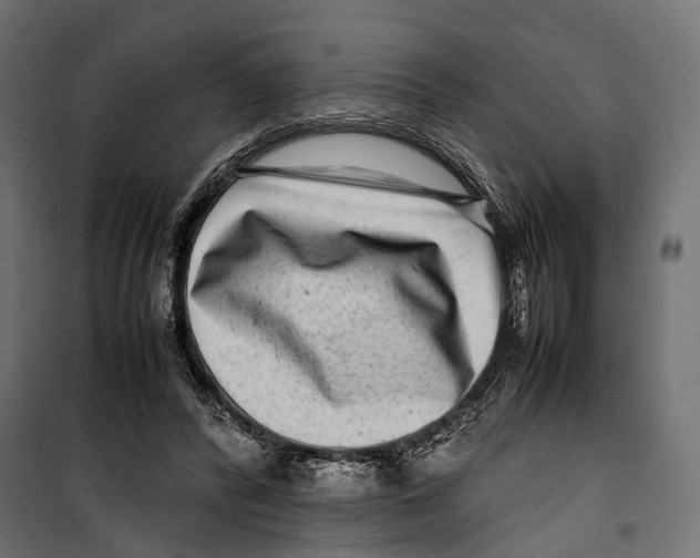 X0000099940400200806201125