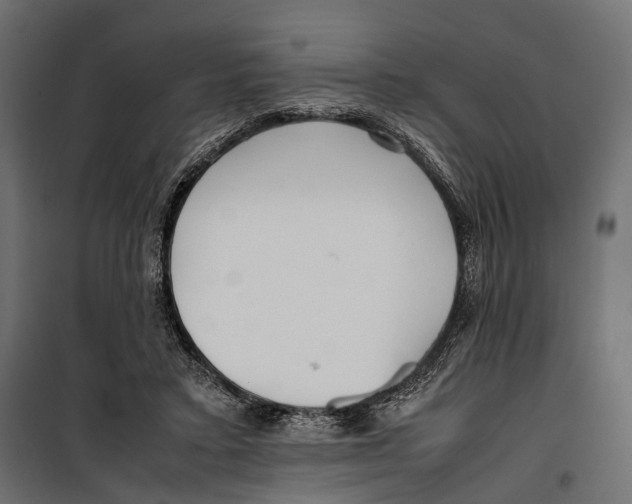 X0000099940403200806201125