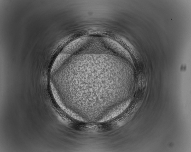 X0000099940405200806201125