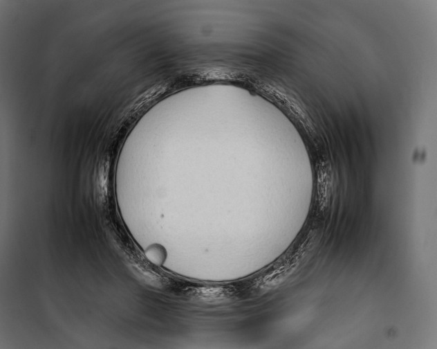 X0000099940406200806201125