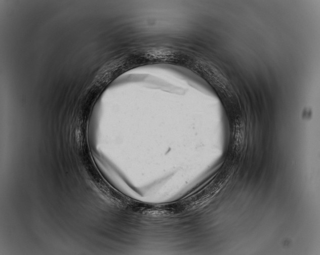 X0000099940408200806201125
