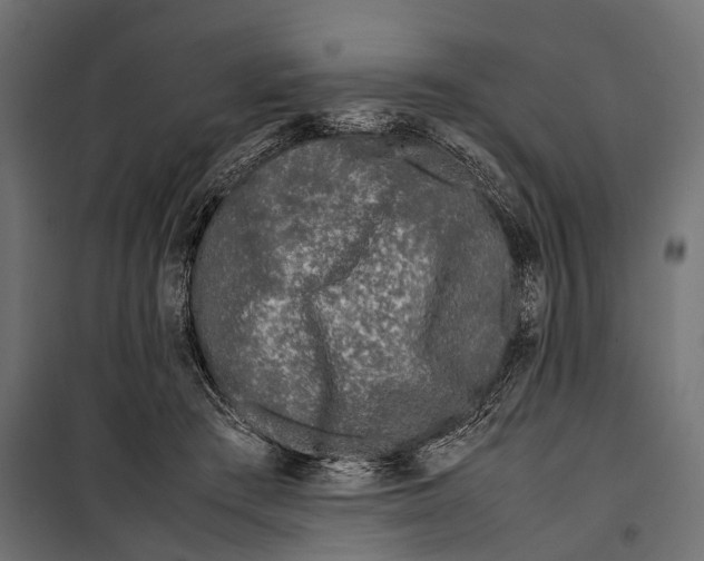X0000099940409200806201125