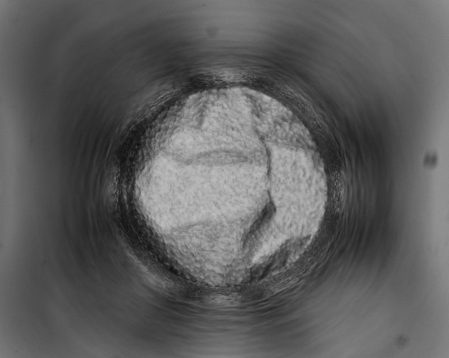 X0000099940410200806201125
