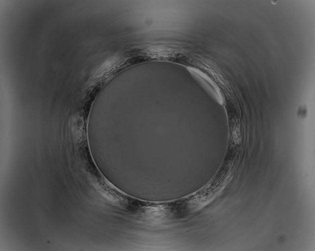 X0000099940411200806201125
