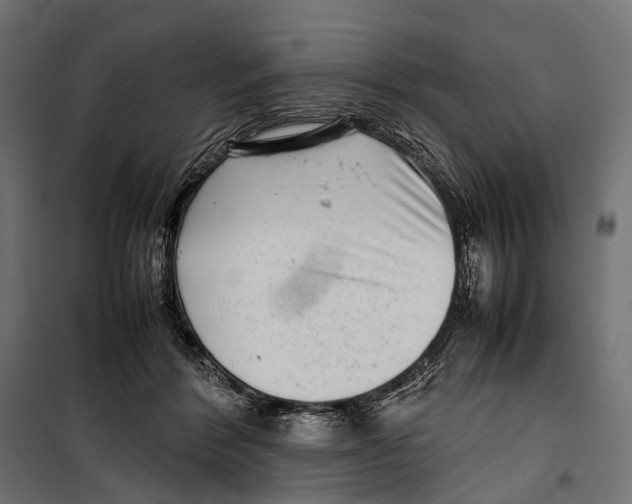 X0000099940412200806201125