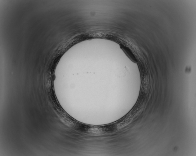 X0000099940413200806201125
