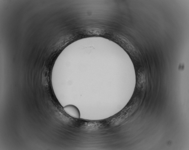 X0000099940414200806201125