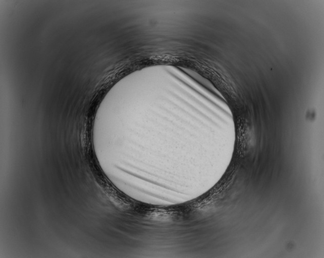 X0000099940416200806201125