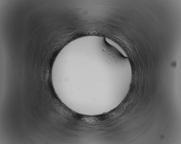X0000099940417200806201125
