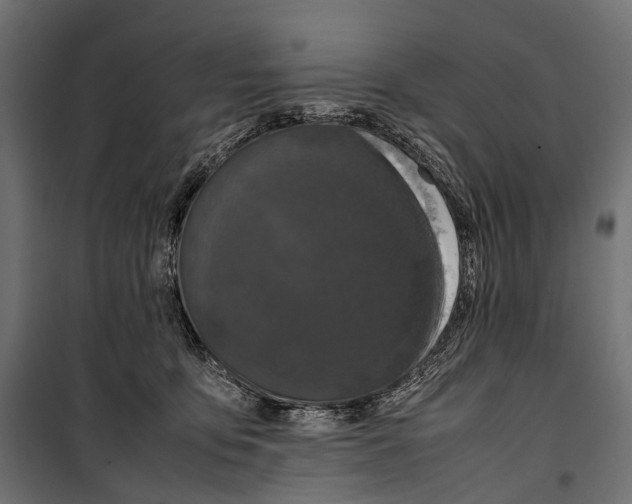 X0000099940419200806201125