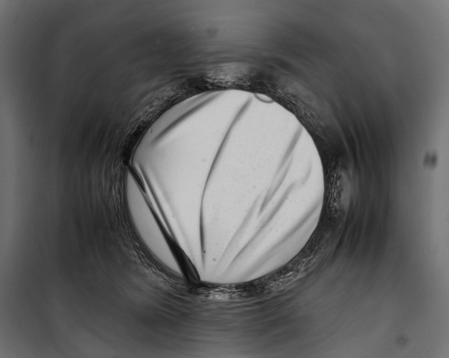 X0000099940420200806201125