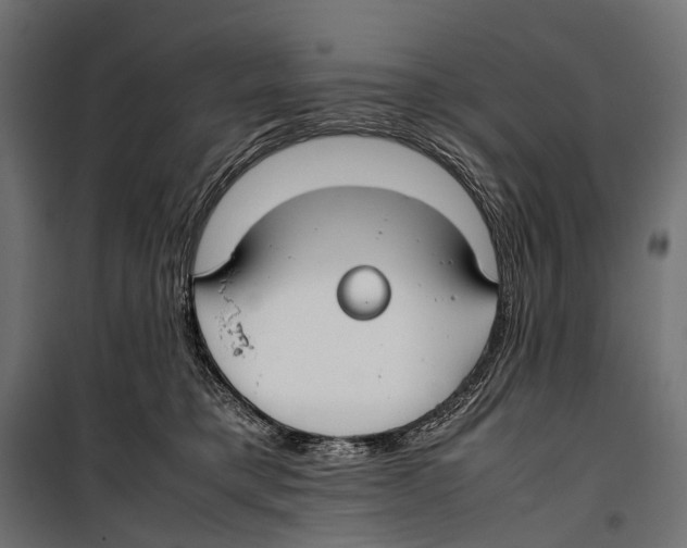 X0000099940421200806201125
