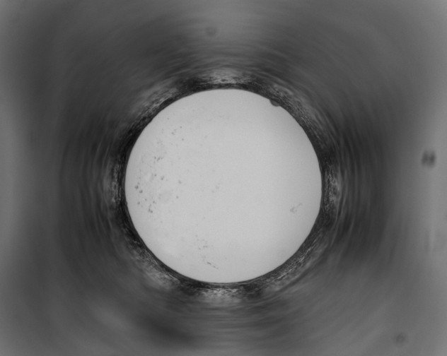 X0000099940422200806201125