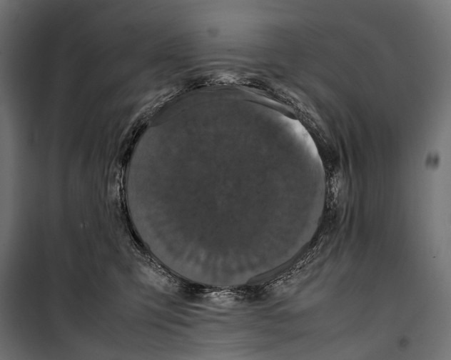 X0000099940423200806201125