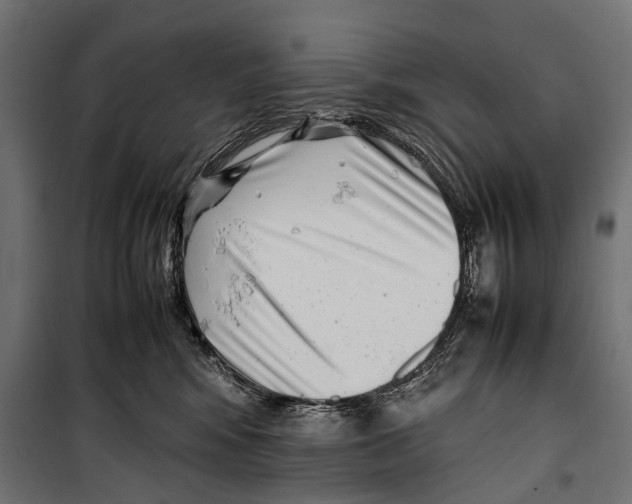 X0000099940424200806201125