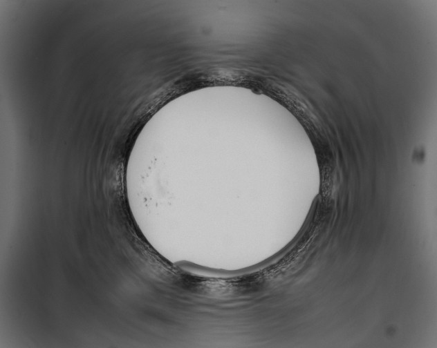 X0000099940425200806201125