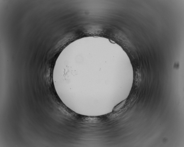 X0000099940428200806201125