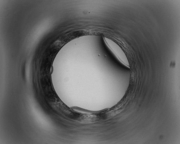 X0000099940429200806201125
